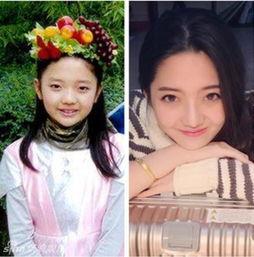 童星娱乐圈的句子